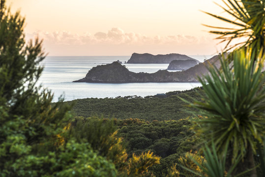 Bay Of Islands Coastline At Sunrise, Seen From Russell, Northland Region, North Island, New Zealand