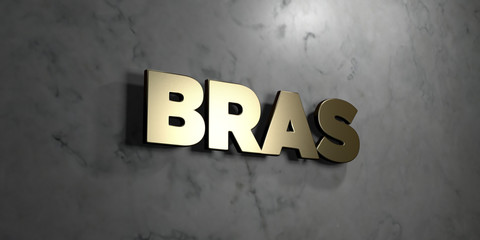 Bras - Gold sign mounted on glossy marble wall  - 3D rendered royalty free stock illustration. This image can be used for an online website banner ad or a print postcard.