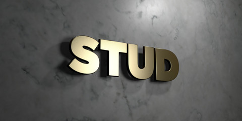 Stud - Gold sign mounted on glossy marble wall  - 3D rendered royalty free stock illustration. This image can be used for an online website banner ad or a print postcard.