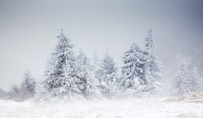 Fototapeta premium amazing winter sunrise through fog in the mountains