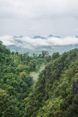 Fototapeta na wymiar landscape of mountain and fog , Krabi ,Thailand