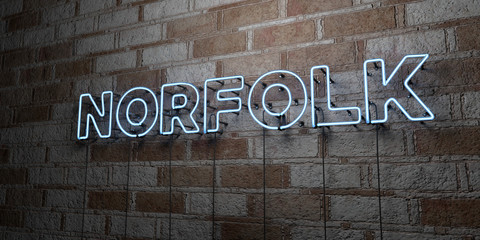NORFOLK - Glowing Neon Sign on stonework wall - 3D rendered royalty free stock illustration.  Can be used for online banner ads and direct mailers..