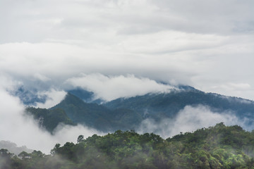 landscape of mountain and fog , Krabi ,Thailand