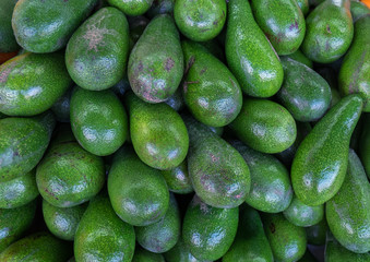 Organic avocado at city market for sale