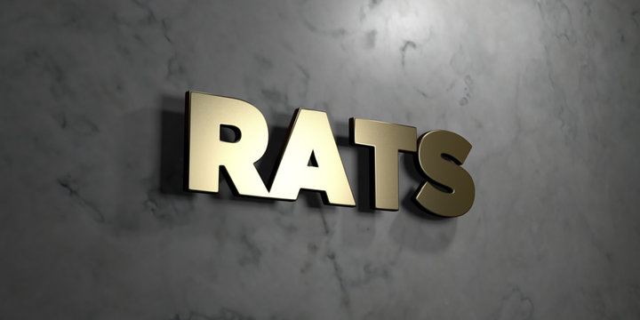 Rats - Gold sign mounted on glossy marble wall  - 3D rendered royalty free stock illustration. This image can be used for an online website banner ad or a print postcard.