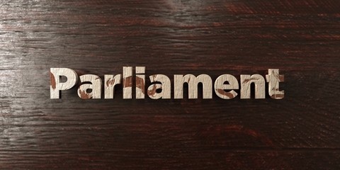 Parliament - grungy wooden headline on Maple  - 3D rendered royalty free stock image. This image can be used for an online website banner ad or a print postcard.