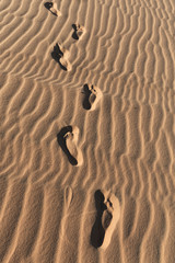 Fototapeta na wymiar Footprints on a sand dunes desert