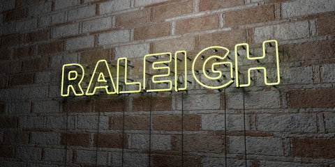 RALEIGH - Glowing Neon Sign on stonework wall - 3D rendered royalty free stock illustration.  Can be used for online banner ads and direct mailers..