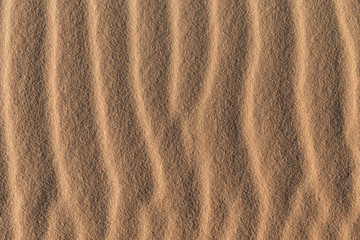 Fototapeta na wymiar Desert sand texture background