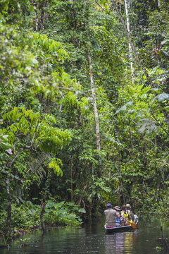 Dugout canoe boat ride in the Amazon Rainforest, Coca, Ecuador