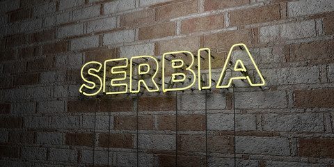 SERBIA - Glowing Neon Sign on stonework wall - 3D rendered royalty free stock illustration.  Can be used for online banner ads and direct mailers..