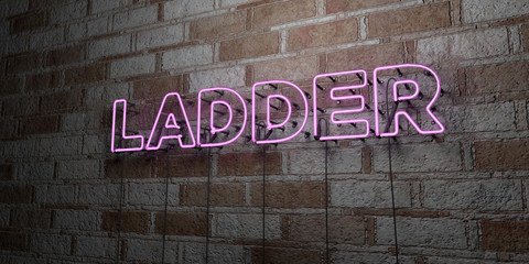 LADDER - Glowing Neon Sign on stonework wall - 3D rendered royalty free stock illustration.  Can be used for online banner ads and direct mailers..