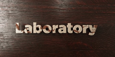 Laboratory - grungy wooden headline on Maple  - 3D rendered royalty free stock image. This image can be used for an online website banner ad or a print postcard.