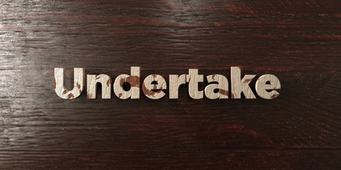 Undertake - grungy wooden headline on Maple  - 3D rendered royalty free stock image. This image can be used for an online website banner ad or a print postcard.