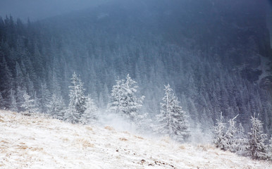 amazing winter sunrise through fog in the mountains