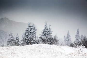 amazing winter sunrise through fog in the mountains