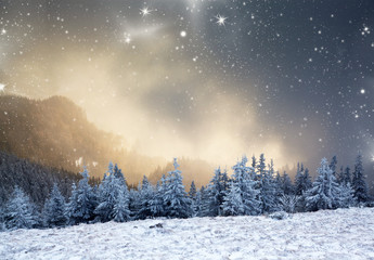 Fototapeta premium amazing winter sunrise through fog in the mountains