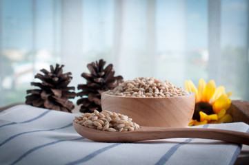 pearls barley grain seed on background.