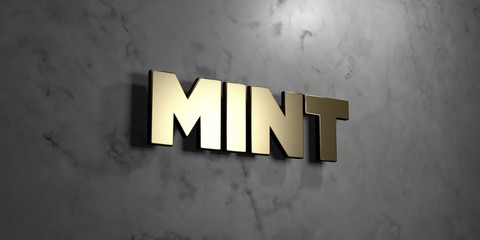 Mint - Gold sign mounted on glossy marble wall  - 3D rendered royalty free stock illustration. This image can be used for an online website banner ad or a print postcard.
