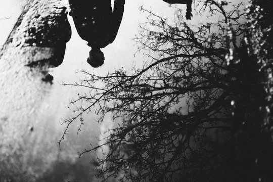 People and tree mirrored in puddle