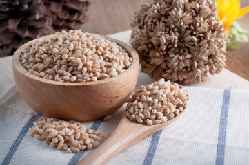 pearls barley grain seed on background.