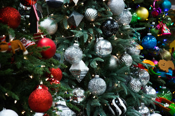 Multiple Christmas trees