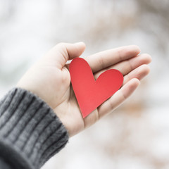 Fototapeta premium Heart in female hands. Valentine's Day