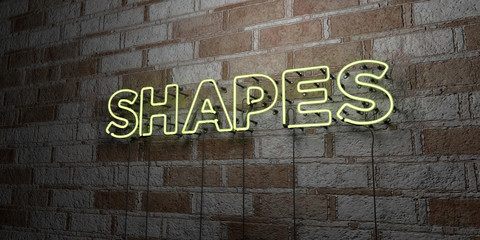 SHAPES - Glowing Neon Sign on stonework wall - 3D rendered royalty free stock illustration.  Can be used for online banner ads and direct mailers..