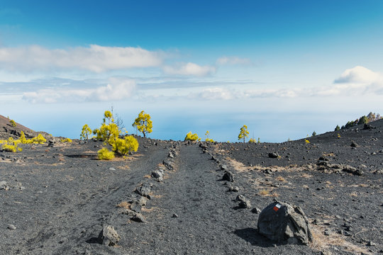 La palma ruta de los vulcanos track ocean background