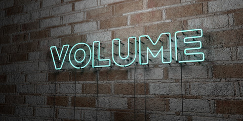 VOLUME - Glowing Neon Sign on stonework wall - 3D rendered royalty free stock illustration.  Can be used for online banner ads and direct mailers..