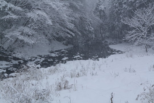 雪の川原