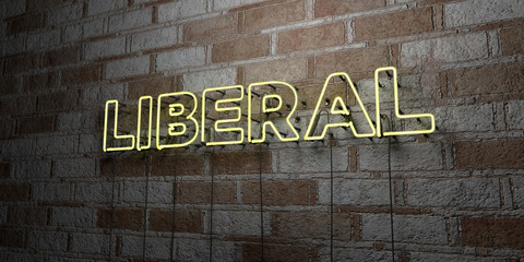 LIBERAL - Glowing Neon Sign on stonework wall - 3D rendered royalty free stock illustration.  Can be used for online banner ads and direct mailers..