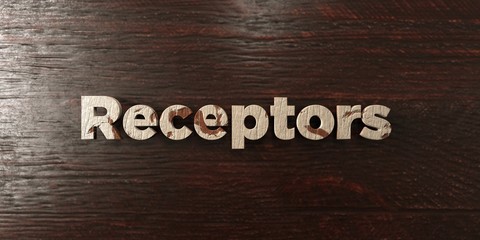 Receptors - grungy wooden headline on Maple  - 3D rendered royalty free stock image. This image can be used for an online website banner ad or a print postcard.