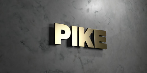 Pike - Gold sign mounted on glossy marble wall  - 3D rendered royalty free stock illustration. This image can be used for an online website banner ad or a print postcard.