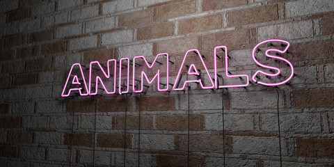 ANIMALS - Glowing Neon Sign on stonework wall - 3D rendered royalty free stock illustration.  Can be used for online banner ads and direct mailers..