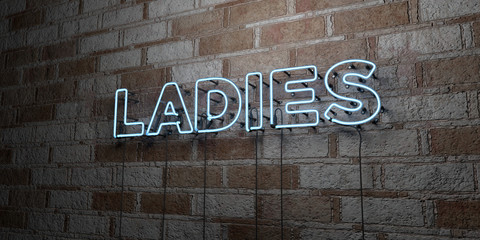 LADIES - Glowing Neon Sign on stonework wall - 3D rendered royalty free stock illustration.  Can be used for online banner ads and direct mailers..