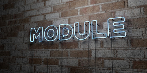 MODULE - Glowing Neon Sign on stonework wall - 3D rendered royalty free stock illustration.  Can be used for online banner ads and direct mailers..