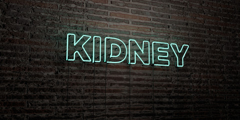 KIDNEY -Realistic Neon Sign on Brick Wall background - 3D rendered royalty free stock image. Can be used for online banner ads and direct mailers..