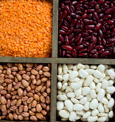 bean assortment isolated on white