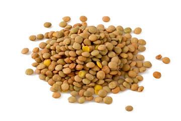 lentils isolated on white
