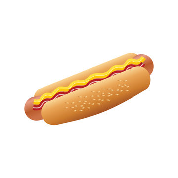 Hot dog with sausage, mustard and ketchup on a white background. Fast food. Vector illustration.