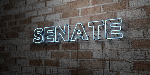 Fototapeta na wymiar SENATE - Glowing Neon Sign on stonework wall - 3D rendered royalty free stock illustration. Can be used for online banner ads and direct mailers..