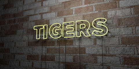 TIGERS - Glowing Neon Sign on stonework wall - 3D rendered royalty free stock illustration.  Can be used for online banner ads and direct mailers..