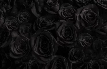 Fotobehang Zwarte rozen achtergrond. wenskaart met rozen © Lumppini