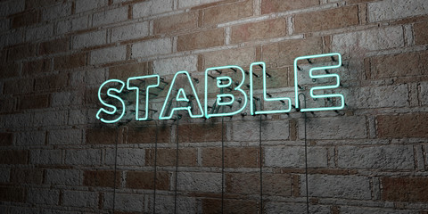 STABLE - Glowing Neon Sign on stonework wall - 3D rendered royalty free stock illustration.  Can be used for online banner ads and direct mailers..