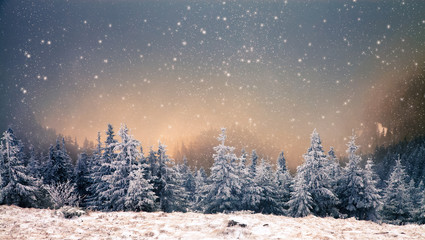 Fototapeta premium amazing winter sunrise through fog in the mountains