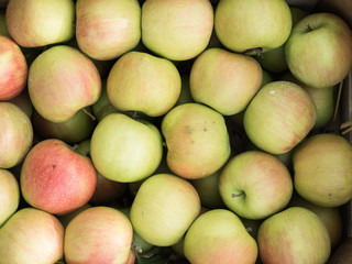 Background of green and red apples close up. Green and red apples pattern on sale at the market.