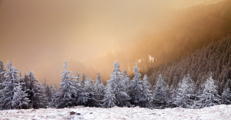 Fototapeta premium amazing winter sunrise through fog in the mountains