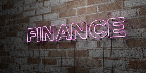 FINANCE - Glowing Neon Sign on stonework wall - 3D rendered royalty free stock illustration.  Can be used for online banner ads and direct mailers..