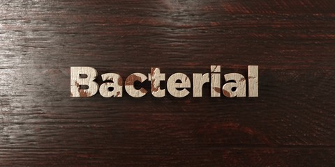Bacterial - grungy wooden headline on Maple  - 3D rendered royalty free stock image. This image can be used for an online website banner ad or a print postcard.